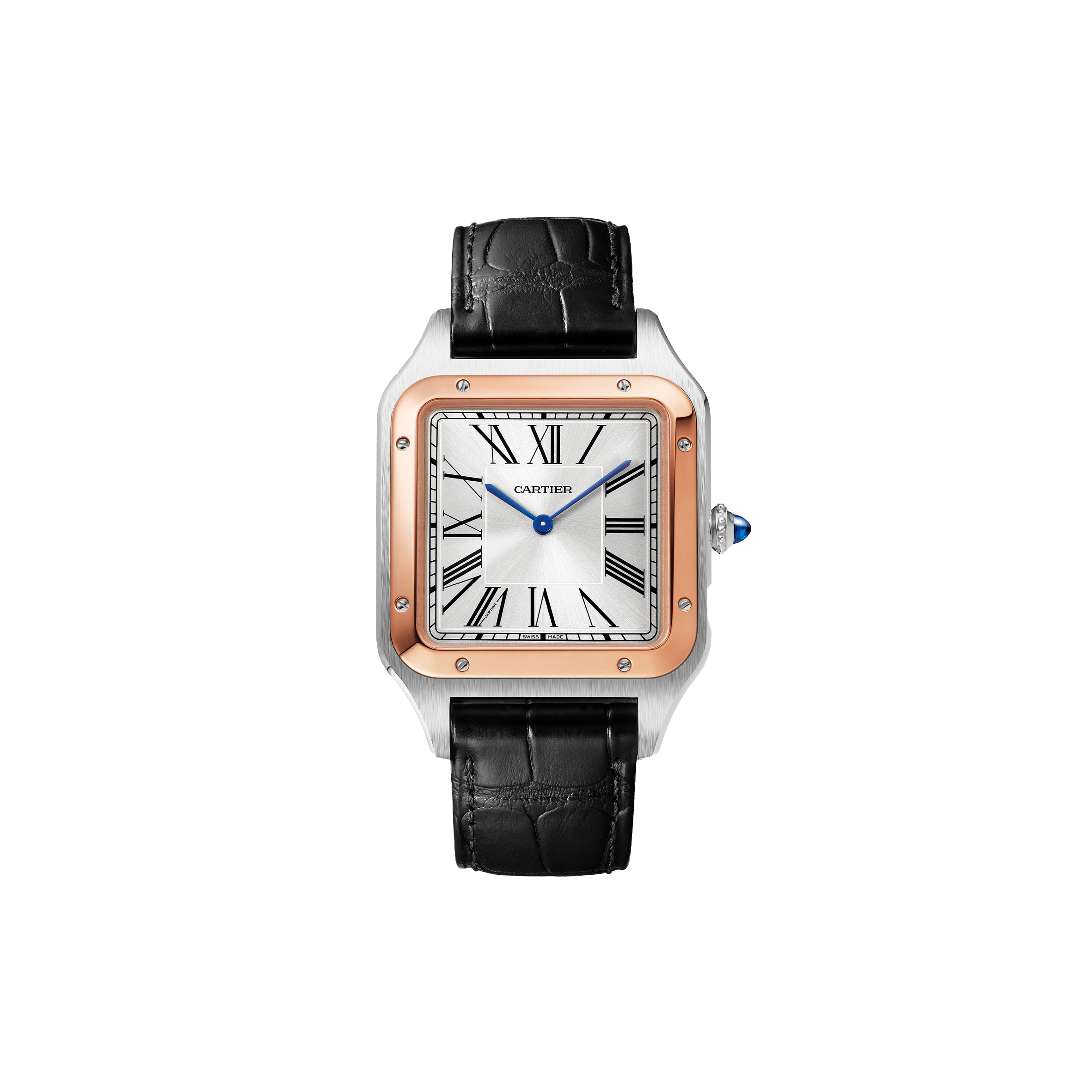CARTIER SANTOS-DUMONT EXTRA-LARGE 47MM WATCH W2SA0017